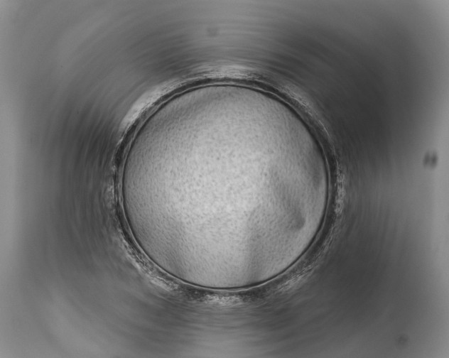 X0000115010978200911091417