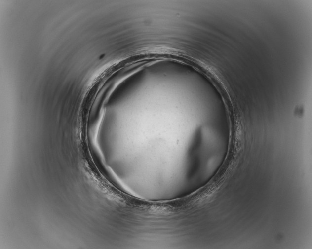 X0000115010979200911091417