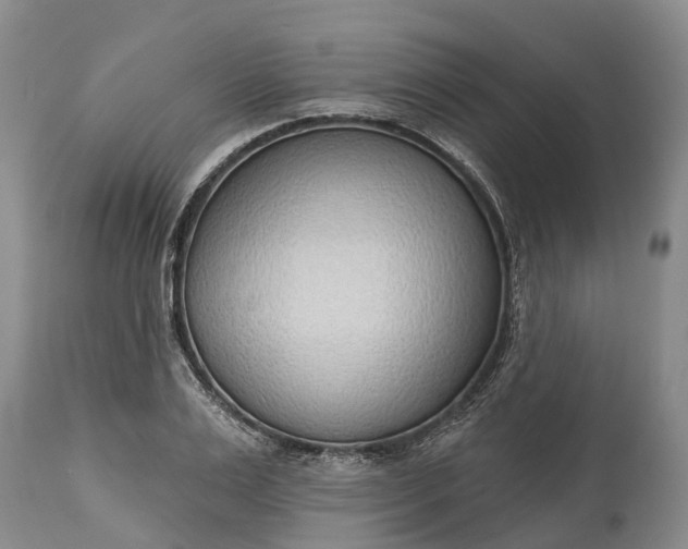 X0000115010983200911091417