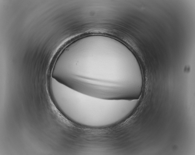 X0000115010984200911091417