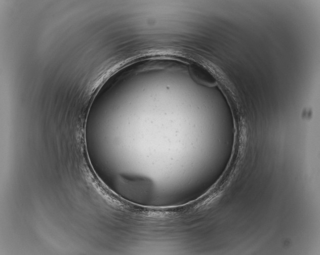 X0000115010985200911091417