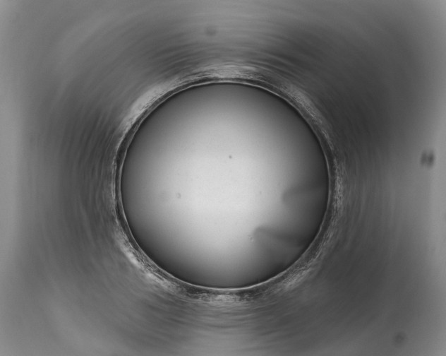 X0000115010986200911091417