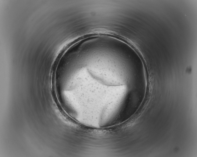 X0000115010987200911091417