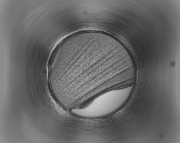 X0000115010988200911091417