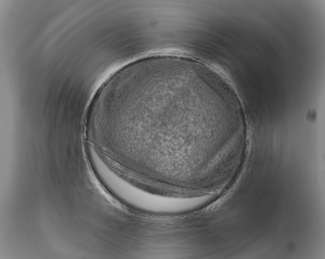 X0000115010989200911091417