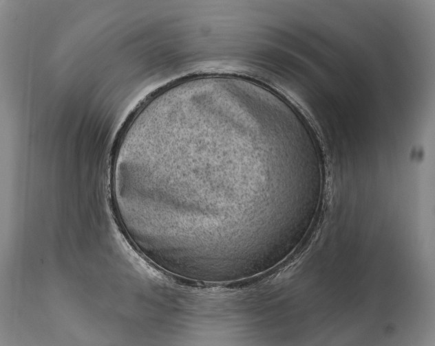 X0000115010992200911091417