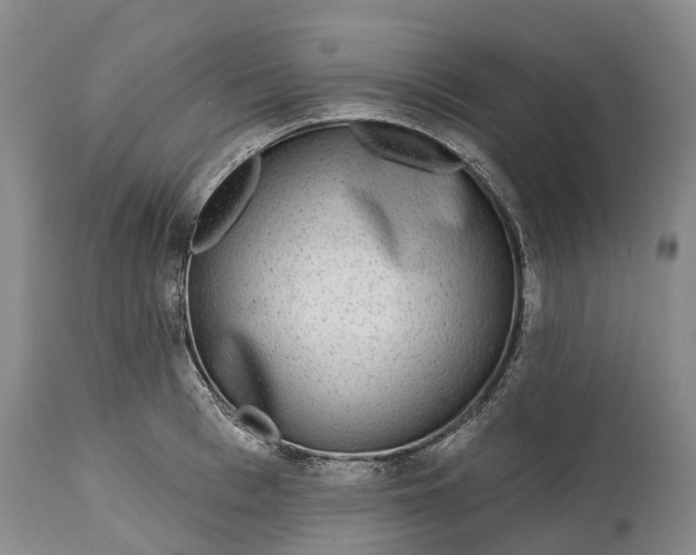 X0000115010993200911091417