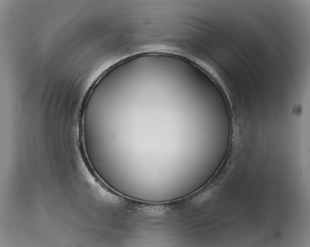 X0000115010999200911091417