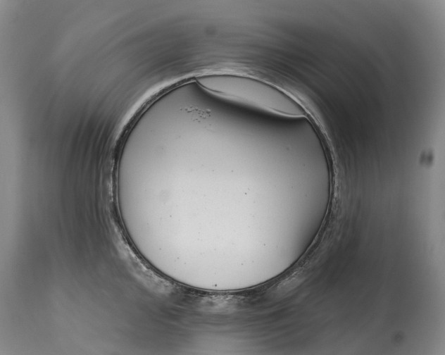 X0000115011000200911091417