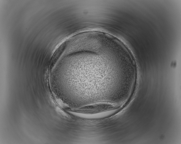 X0000115011001200911091416