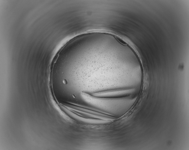 X0000115011005200911091416