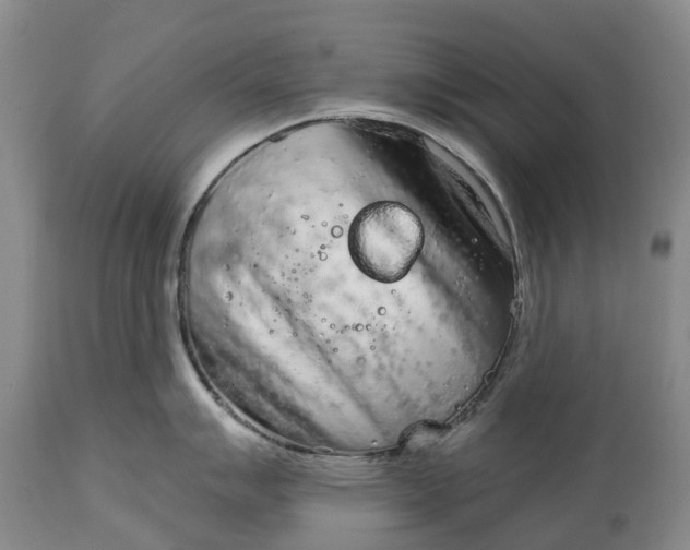 X0000115011007200911091416