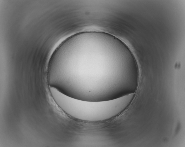 X0000115011008200911091416