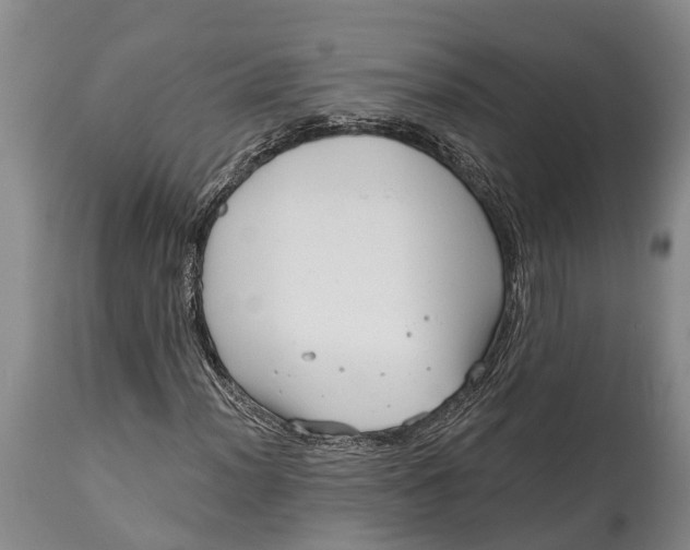 X0000115011012200911091416