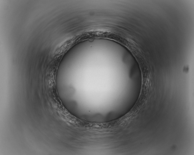 X0000115011014200911091416
