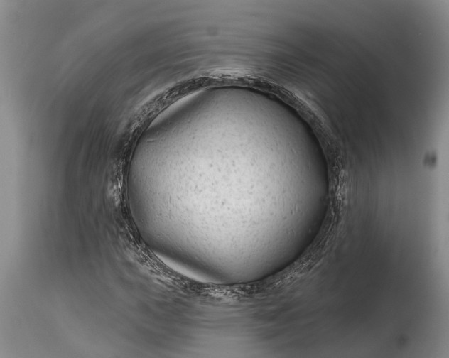 X0000115011015200911091416