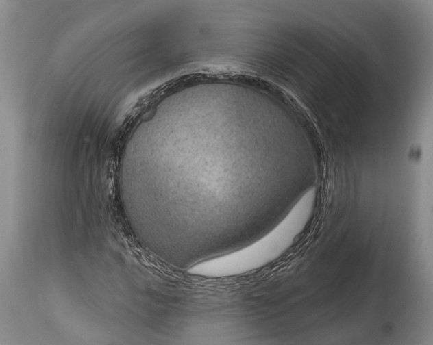 X0000115011016200911091416