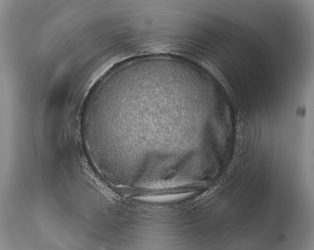 X0000115011023200911091416