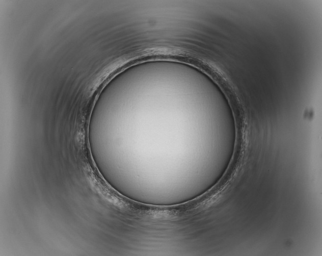 X0000115011025200911091416