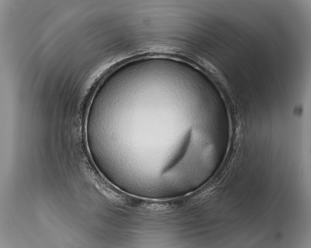 X0000115011027200911091416