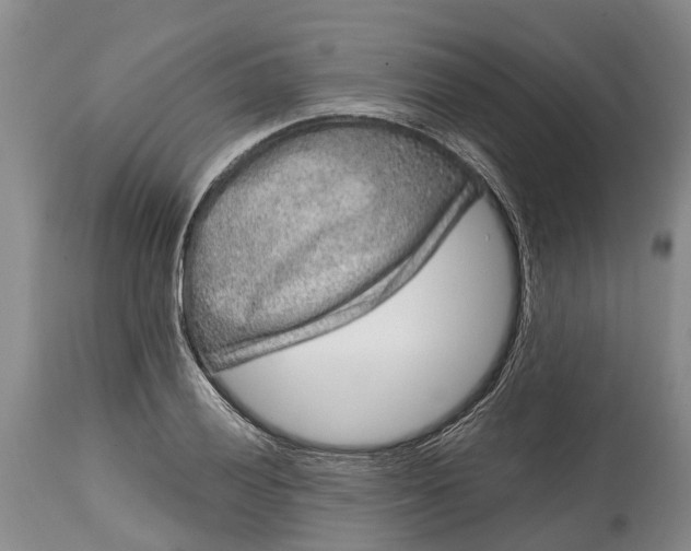 X0000115011028200911091416