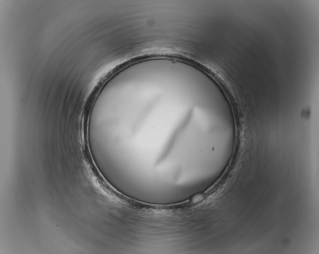 X0000115011030200911091416