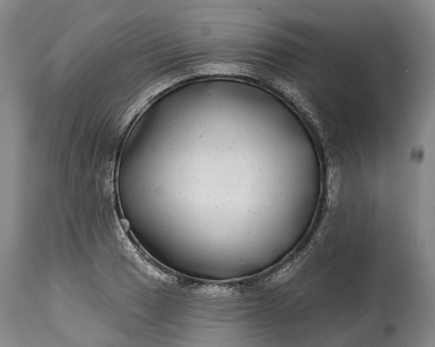 X0000115011033200911091416