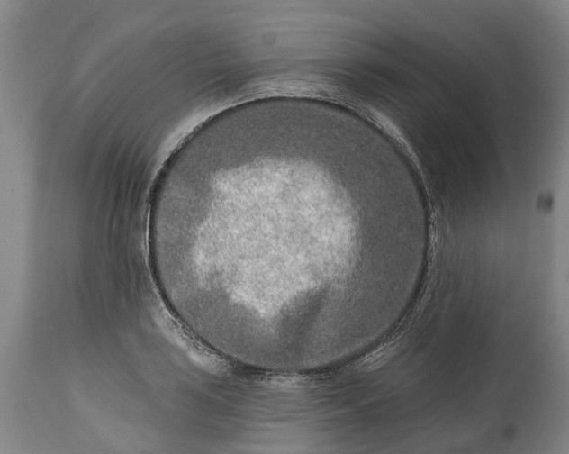 X0000115011035200911091416