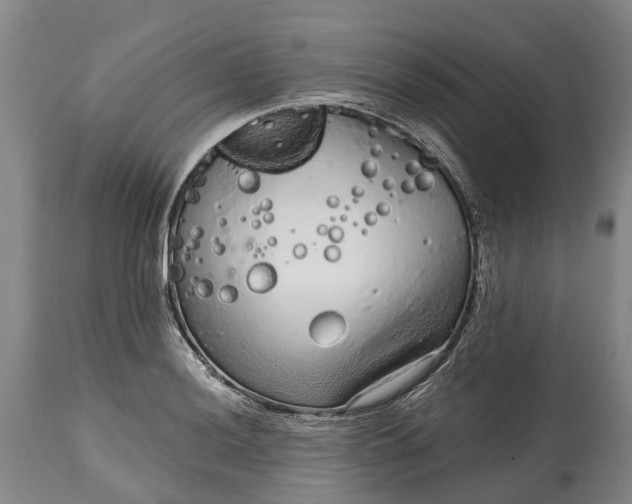 X0000115011036200911091416