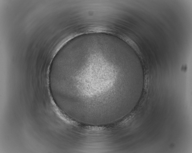 X0000115011039200911091416