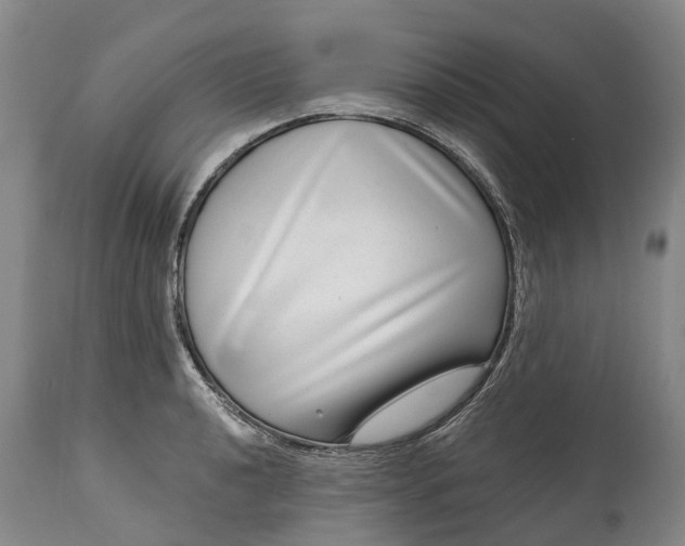 X0000115011040200911091416
