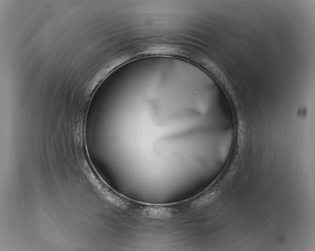X0000115011041200911091416