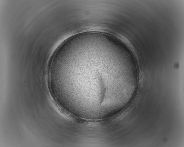 X0000115011043200911091416