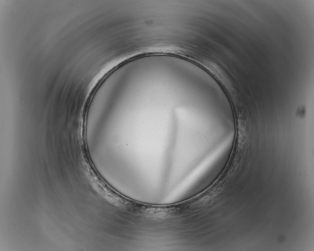 X0000115011044200911091416