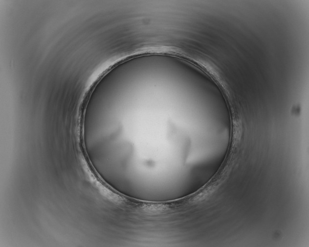 X0000115011046200911091416