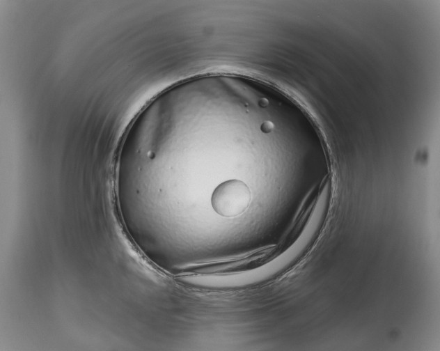 X0000115011048200911091416