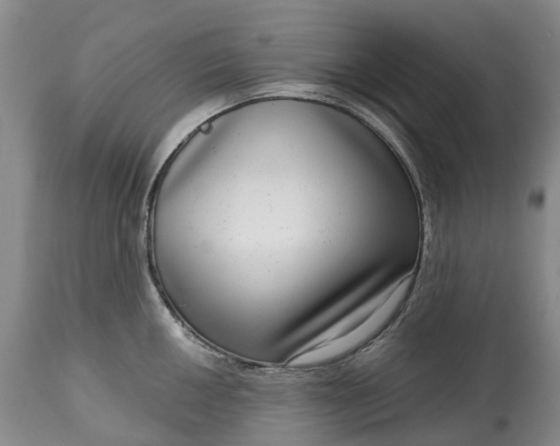 X0000115011050200911091416