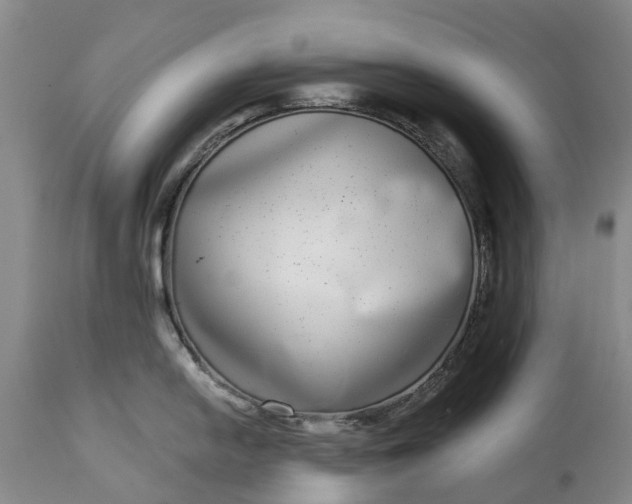 X0000115011054200911091416