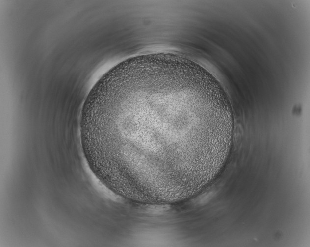 X0000115011055200911091416