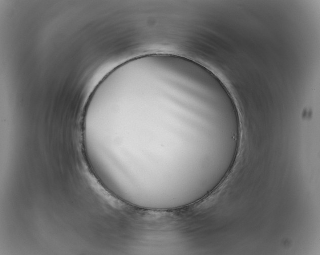 X0000115011056200911091416