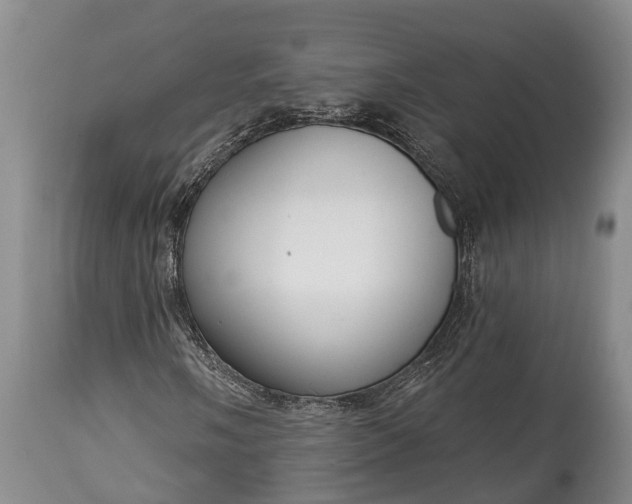 X0000115011058200911091416