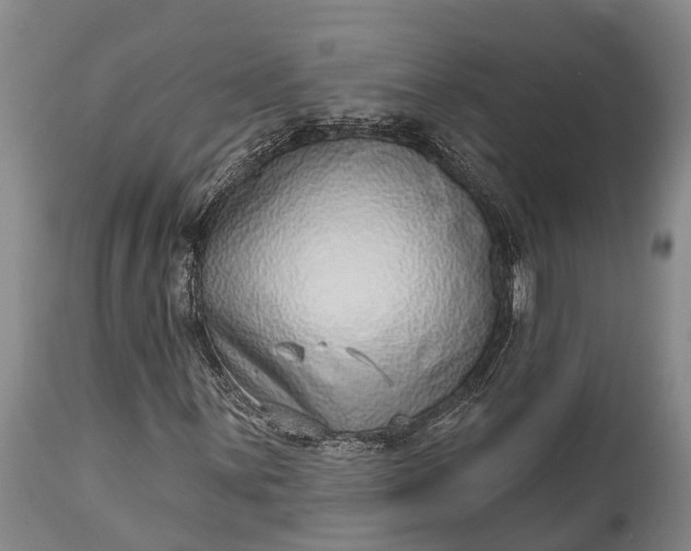 X0000115011059200911091416