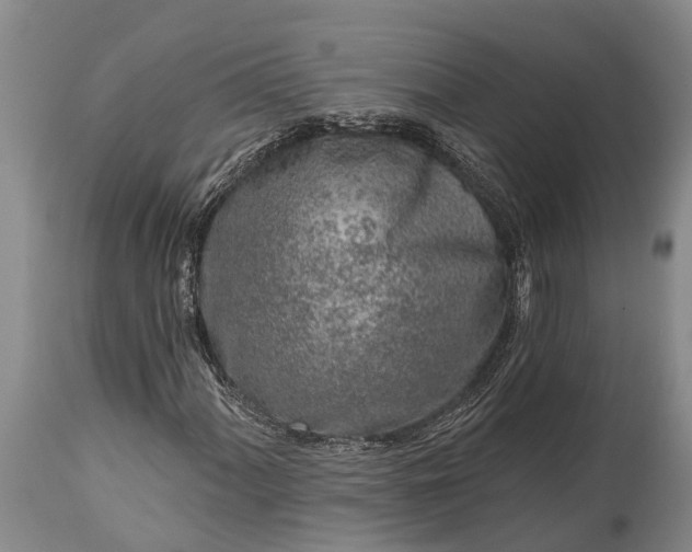 X0000115011060200911091416