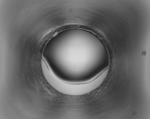 X0000115011064200911091416