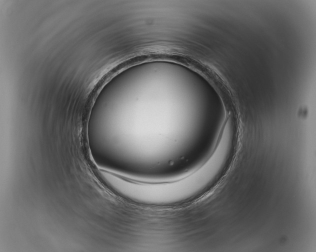 X0000115011065200911091416