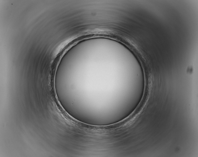 X0000115011066200911091416