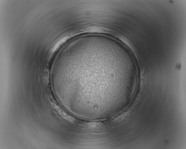 X0000115011067200911091416
