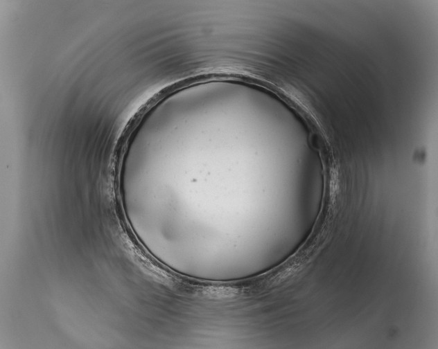 X0000115011068200911091416
