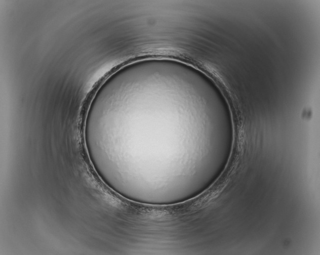 X0000115011071200911091416