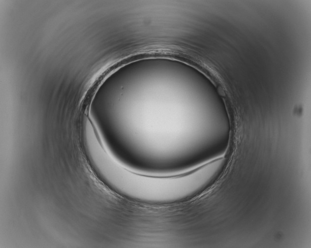 X0000115011075200911091415
